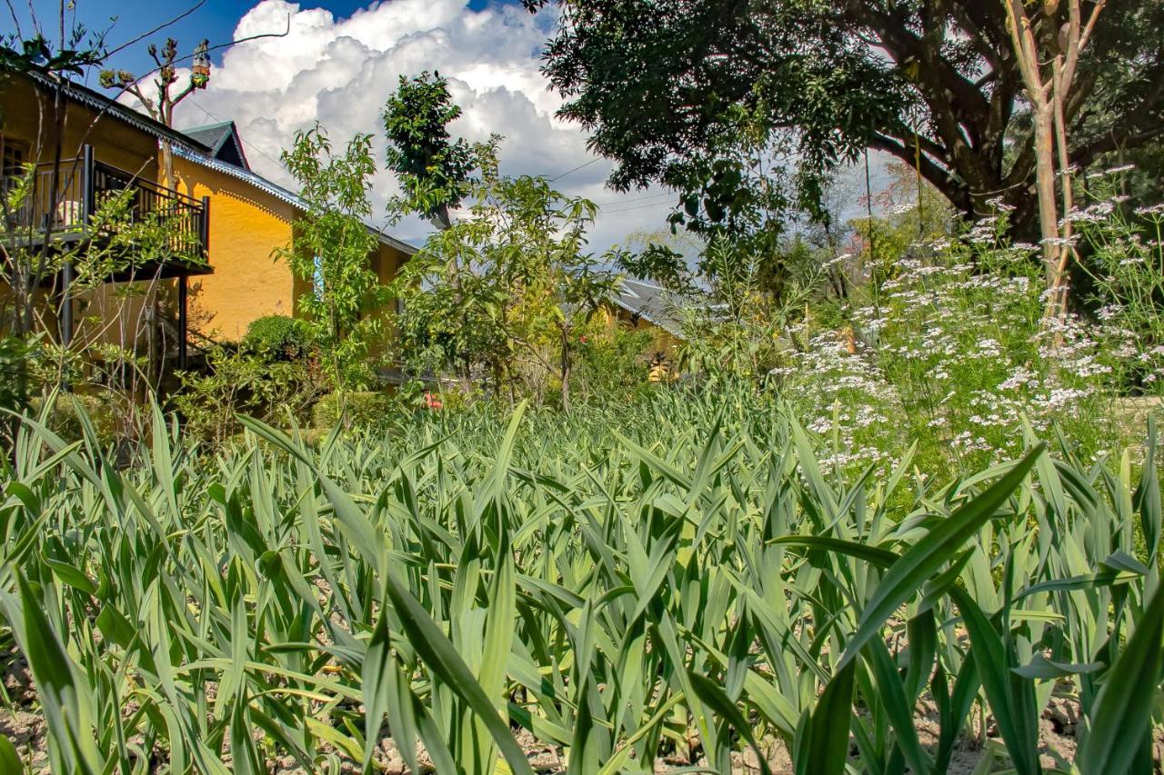 Prakriti Aalay - Riverside Mountain View Boutique Eco Resort Dharamsala Zewnętrze zdjęcie