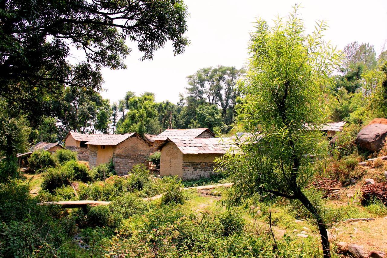 Prakriti Aalay - Riverside Mountain View Boutique Eco Resort Dharamsala Zewnętrze zdjęcie