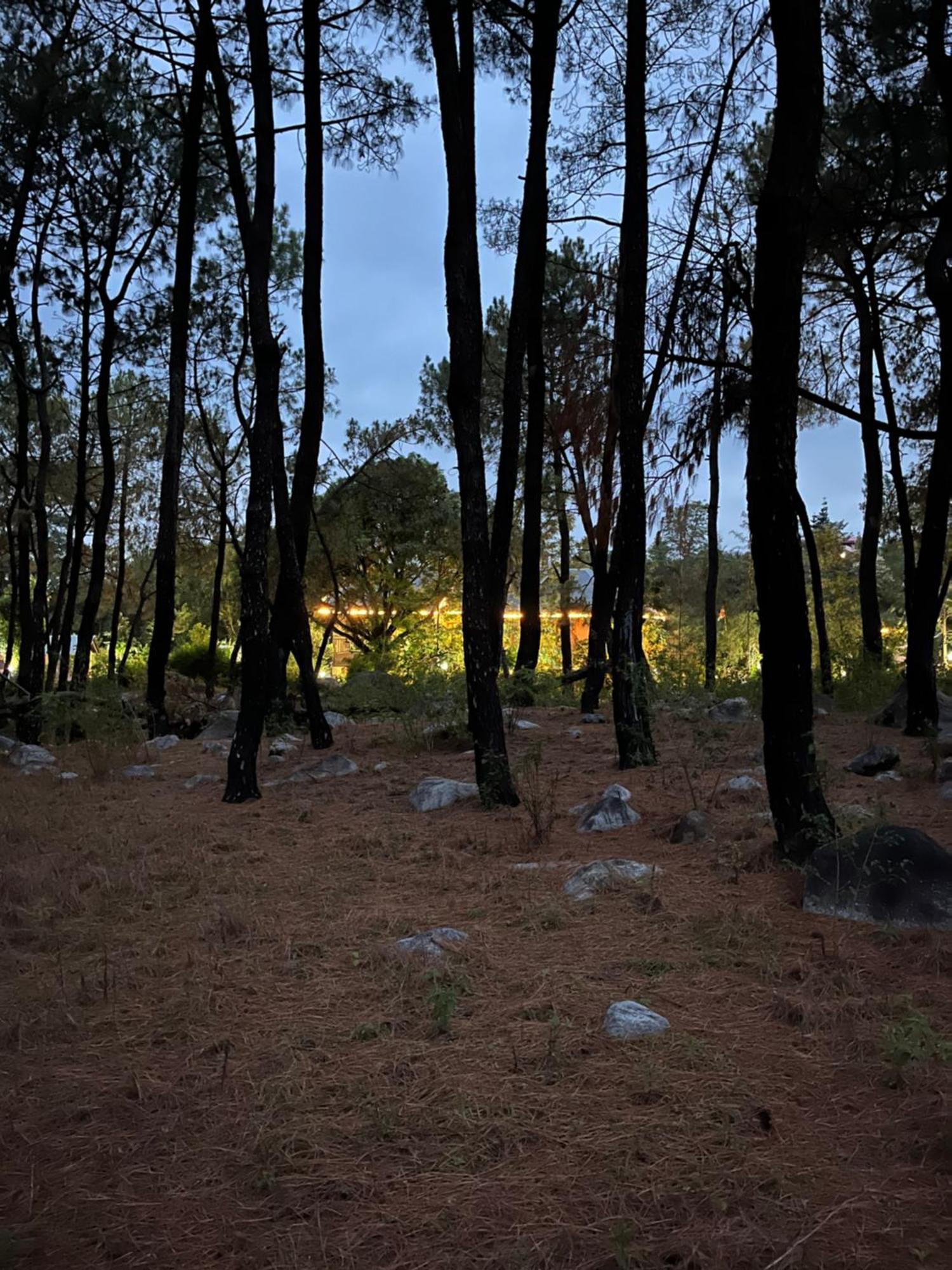 Prakriti Aalay - Riverside Mountain View Boutique Eco Resort Dharamsala Zewnętrze zdjęcie