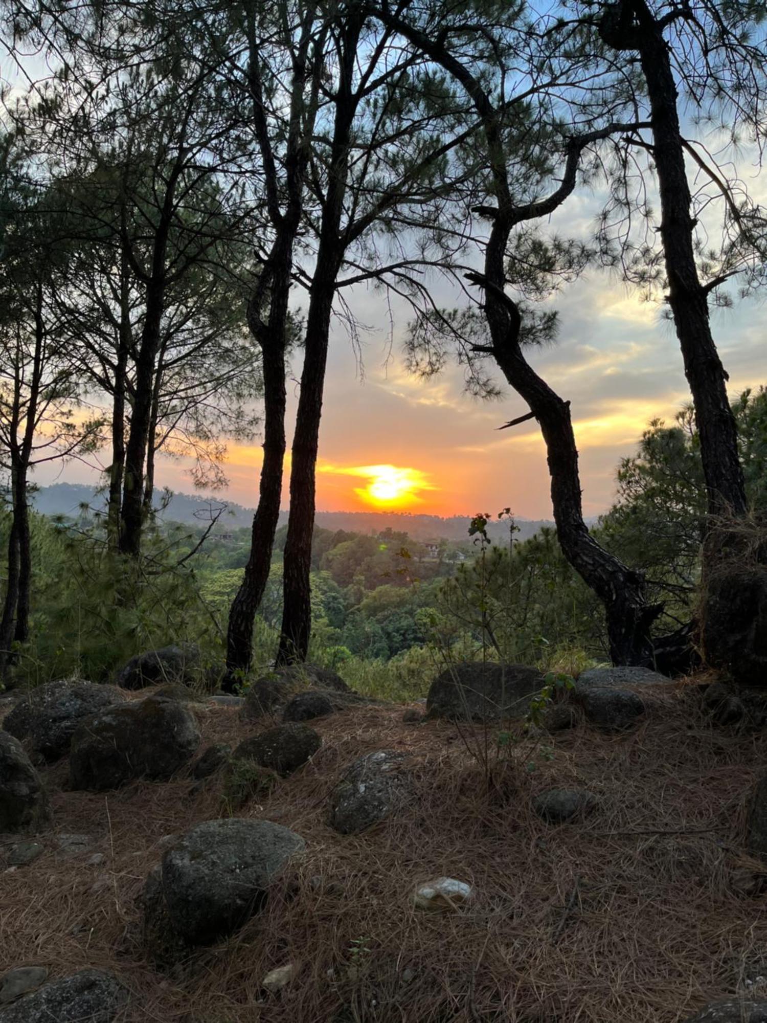 Prakriti Aalay - Riverside Mountain View Boutique Eco Resort Dharamsala Zewnętrze zdjęcie